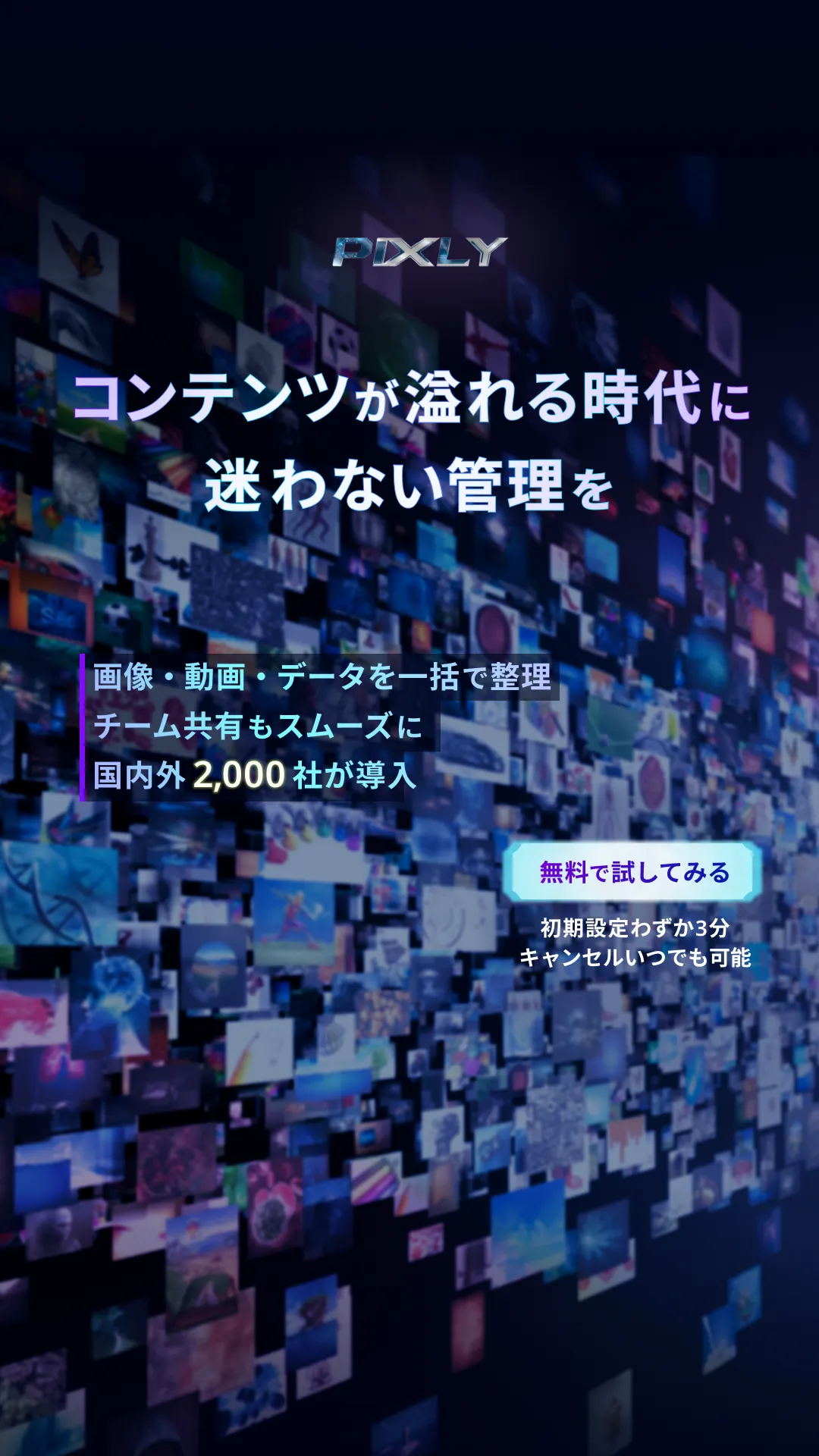 インスタストーリー広告